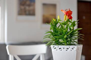 Фотографии Гостевой дом Gerika guest house г. Паланга (Литва) №4 Фото Гостевой дом Gerika guest house г. Паланга 4