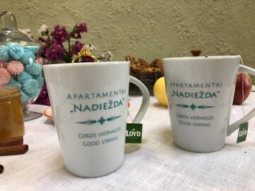 Фотографии Апартаменты Apartamentai "Nadiežda" г. Паланга (Литва) №2 Фото Апартаменты Apartamentai "Nadiežda" г. Паланга 2