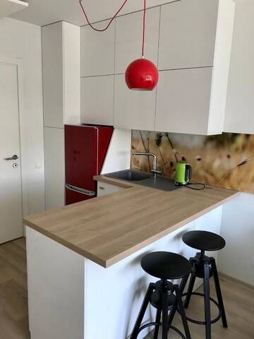Фотографии Апартаменты One room apartment-studio г. Паланга (Литва) №3 Фото Апартаменты One room apartment-studio г. Паланга 3