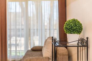 Фотографии Апартаменты Lunos apartamentai - Centras г. Паланга (Литва) №1 Фото Апартаменты Lunos apartamentai - Centras г. Паланга 1