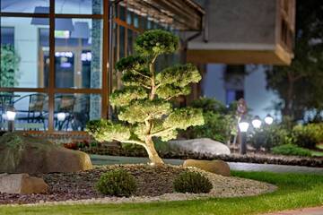 Фотографии Отель Gradiali Wellness and SPA г. Паланга (Литва) №1 Фото Отель Gradiali Wellness and SPA г. Паланга 1