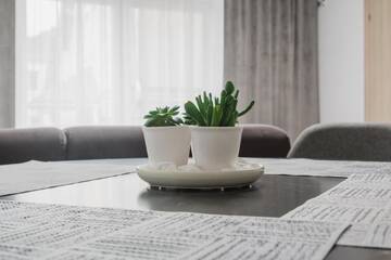 Фотографии Апартаменты Kivi apartamentai Palangoje г. Паланга (Литва) №3 Фото Апартаменты Kivi apartamentai Palangoje г. Паланга 3