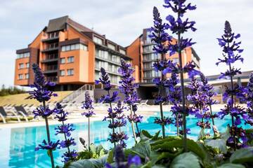 Фотографии Отель Vanagupe Spa Resort г. Паланга (Литва) №1 Фото Отель Vanagupe Spa Resort г. Паланга 1