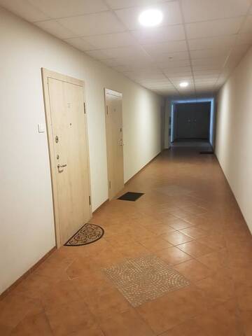 Фото номера Апартаменты с балконом Апартаменты Maluno Vila Apartment г. Паланга 10
