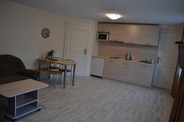 Фото номера Улучшенные апартаменты Апартаменты Apartamentai Vilma г. Паланга 9