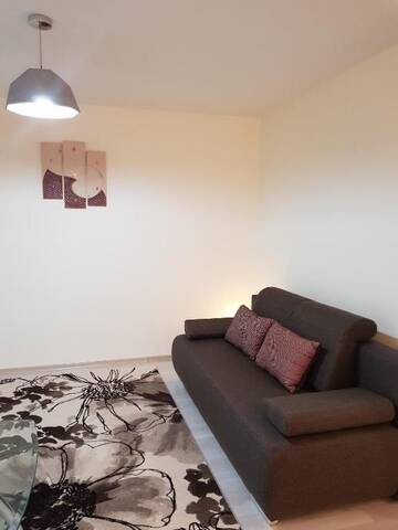 Фото номера Апартаменты с террасой Апартаменты Apartamentai "Nadiežda" г. Паланга 48