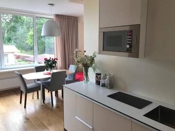 Фото номера Апартаменты с балконом Апартаменты Juodalksnės apartments with separate balcony г. Паланга 60