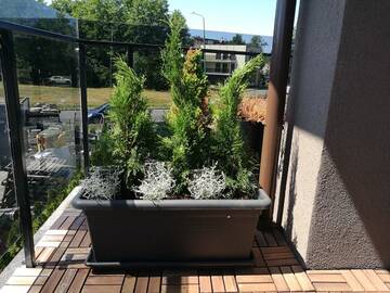 Фото номера Апартаменты Апартаменты Mar Baltico Palanga Apartment г. Паланга 8