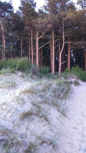 Фото номера Апартаменты Апартаменты Mar Baltico Palanga Apartment г. Паланга 58