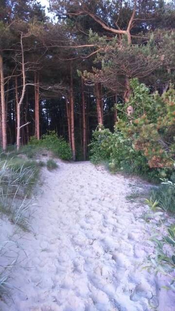 Фото номера Апартаменты Апартаменты Mar Baltico Palanga Apartment г. Паланга 59