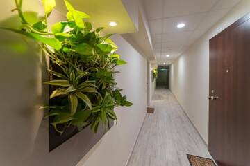Фото номера Апартаменты Апартаменты Akviles Apartamentai г. Паланга 34