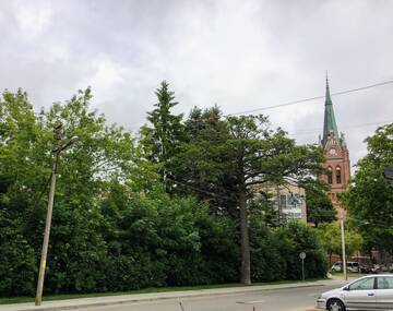 Фото номера Апартаменты с террасой Апартаменты Apartment Heart of Palanga г. Паланга 18