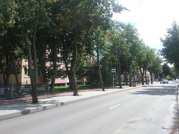 Фото номера Апартаменты Апартаменты Apartments Jadvyga г. Паланга 35