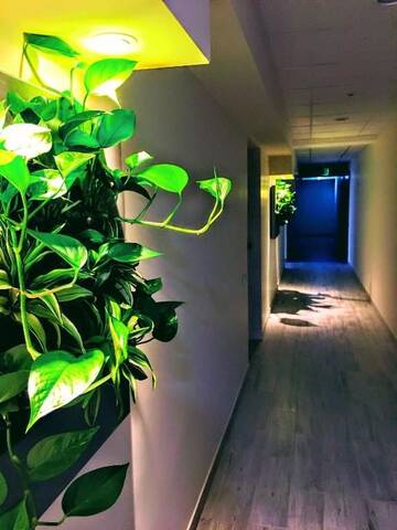 Фото номера Апартаменты-студио Апартаменты Central Square Apartments г. Паланга 17