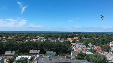 Фото номера Апартаменты с балконом Апартаменты Perlo apartamentai г. Паланга 28
