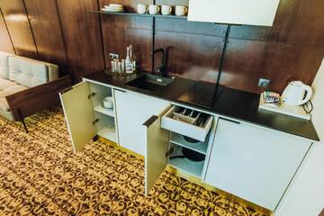 Фото номера Улучшенные апартаменты Апарт-отели Žilvinas Hotel г. Паланга 4