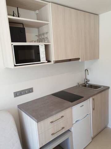 Фото номера Апартаменты-студио Апартаменты Apartamentai 'Birutės alėja 24' г. Паланга 4