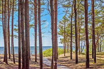 Фото номера Апартаменты с балконом Апартаменты Palanga INN г. Паланга 63