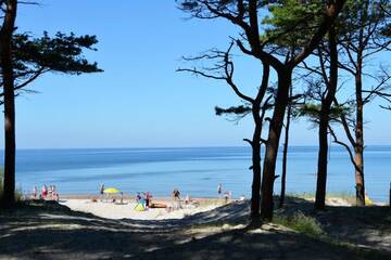 Фото номера Апартаменты с балконом Апартаменты Palanga INN г. Паланга 64