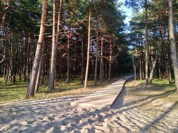 Фото номера Апартаменты с балконом Апартаменты Palanga INN г. Паланга 42