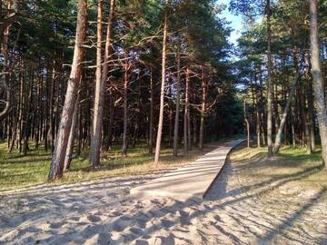 Фото номера Апартаменты с балконом Апартаменты Palanga INN г. Паланга 12