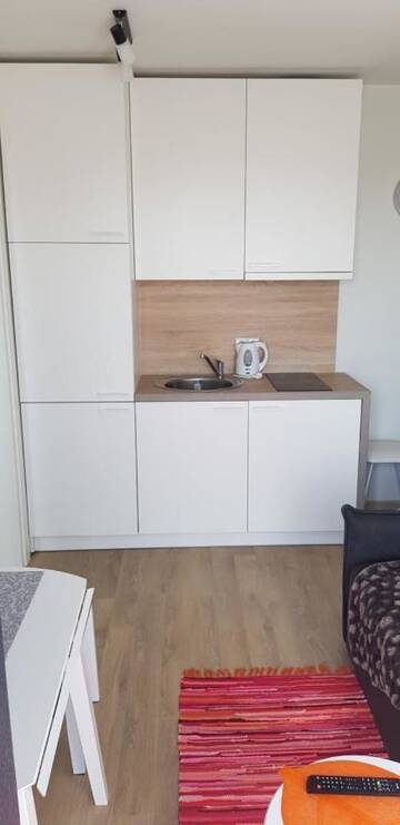 Фото номера Апартаменты с балконом Апартаменты Apartment Vėsa - L14 г. Паланга 15