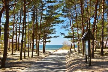 Фото номера Апартаменты с 2 спальнями Апартаменты Žalia kopa near the beach г. Паланга 11