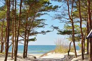 Фото номера Апартаменты с 2 спальнями Апартаменты Žalia kopa near the beach г. Паланга 9