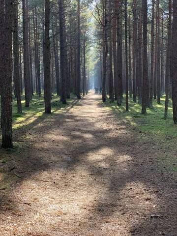 Фото номера Апартаменты с 2 спальнями Апартаменты Žalia kopa near the beach г. Паланга 10
