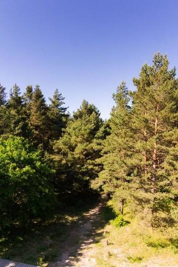 Фото номера Апартаменты с 1 спальней Апартаменты Sunny Pines Apartment г. Паланга 23