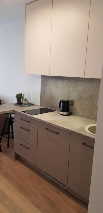 Фото номера Апартаменты с 1 спальней Апартаменты Apartments Family - Vėsa г. Паланга 26