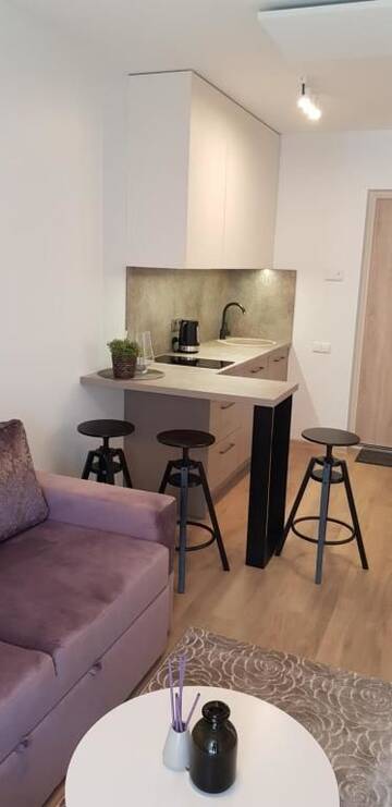 Фото номера Апартаменты с 1 спальней Апартаменты Apartments Family - Vėsa г. Паланга 23