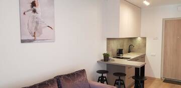 Фото номера Апартаменты с 1 спальней Апартаменты Apartments Family - Vėsa г. Паланга 24