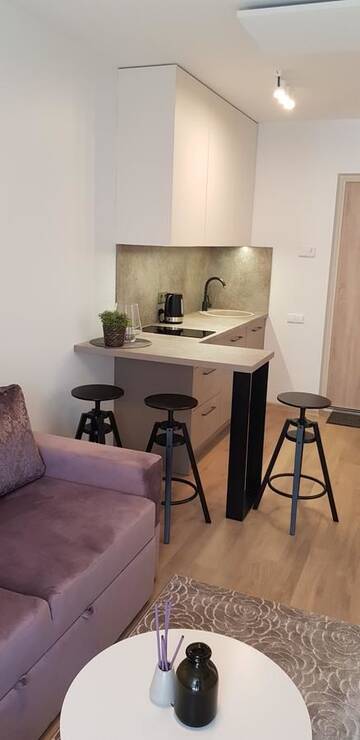 Фото номера Апартаменты с 1 спальней Апартаменты Apartments Family - Vėsa г. Паланга 10