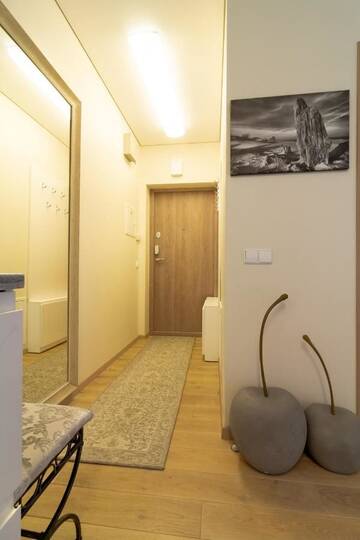 Фото номера Апартаменты с 1 спальней Апартаменты Magic Pines Apartment г. Паланга 11