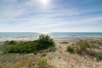 Фото номера Апартаменты с 1 спальней и видом на море Апартаменты HolidayPlus Apartment г. Паланга 20