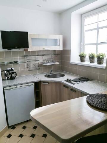 Фото номера Апартаменты - цокольный этаж Гостевой дом Cinnamon villa г. Паланга 6