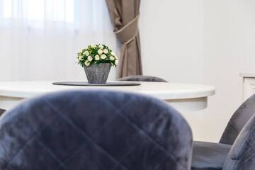 Фото номера Апартаменты с балконом Апартаменты Toro apartamentai - Centras г. Паланга 83