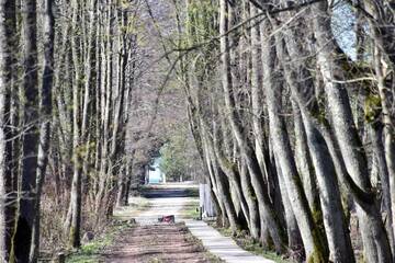Фото номера Дом с 2 спальнями Дома для отпуска Žalia kopa near the beach apartments г. Паланга 22