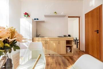Фото номера Апартаменты с 1 спальней Апартаменты Vasaros apartamentai 2 г. Паланга 22
