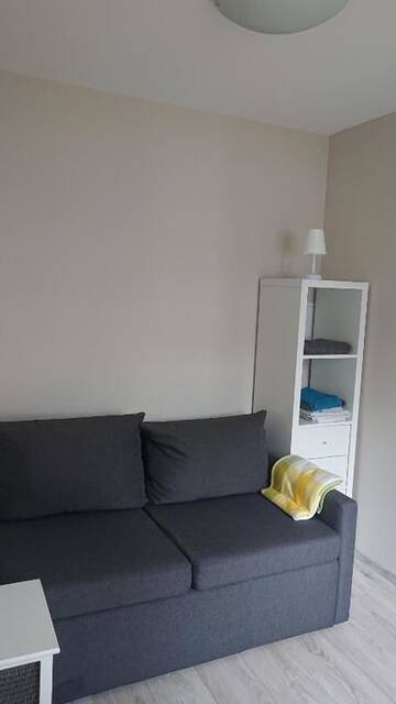 Фото номера Апартаменты с 1 спальней Апартаменты Elena apartments г. Паланга 25