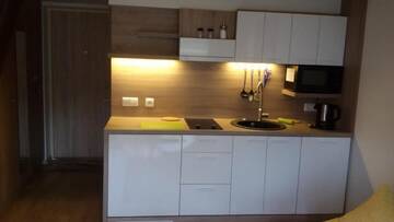 Фото номера Апартаменты с 1 спальней Апартаменты Maluno Vilos Penthouse г. Паланга 11