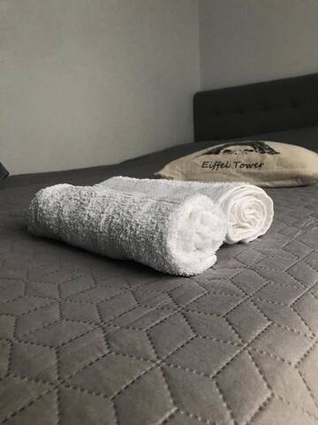 Фото номера Двухместный номер с 1 кроватью и террасой Гостевой дом Izabelės apartamentai г. Паланга 15