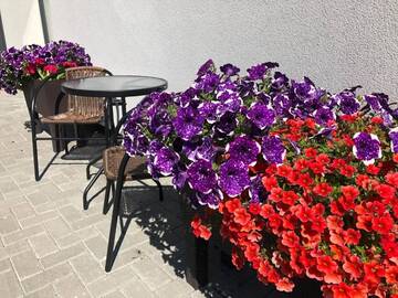 Фото номера Двухместный номер с 1 кроватью и террасой Гостевой дом Izabelės apartamentai г. Паланга 20