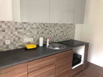 Фото номера Двухместный номер с 1 кроватью и террасой Гостевой дом Izabelės apartamentai г. Паланга 25