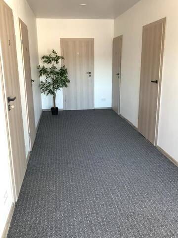 Фото номера Двухместный номер с 1 кроватью и террасой Гостевой дом Izabelės apartamentai г. Паланга 23