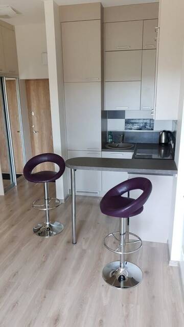 Фото Апартаменты Žiogų apartamentai г. Паланга 3