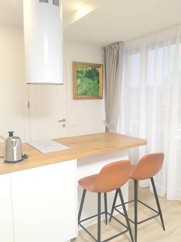 Фото номера Апартаменты с 1 спальней Апартаменты DUPLEX APARTAMENT VAIVORYKŠTĖ г. Паланга 13