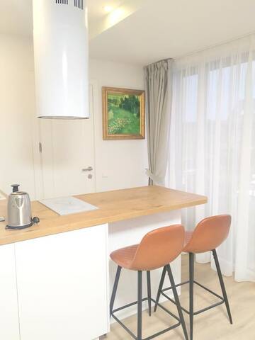 Фото номера Апартаменты с 1 спальней Апартаменты DUPLEX APARTAMENT VAIVORYKŠTĖ г. Паланга 7