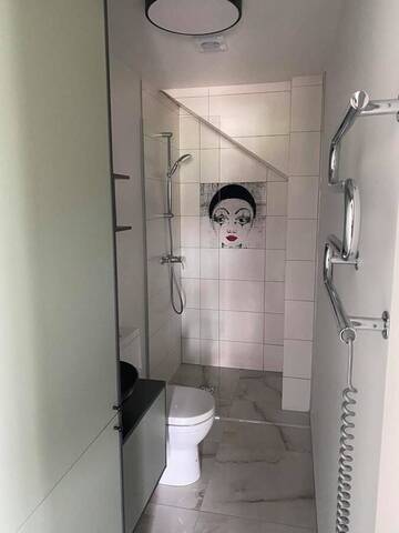 Фото номера Апартаменты с 1 спальней Апартаменты Vaivorykštės apartamentai г. Паланга 18